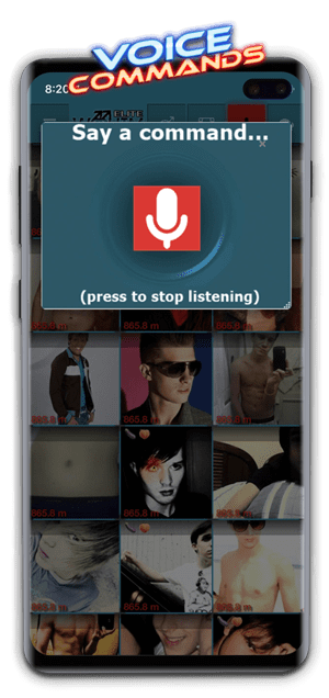Voice Commands